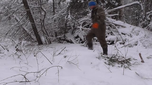 ПРОВЕРКА КАПКАНОВ НА БОБРА КП 320 смотреть онлайн