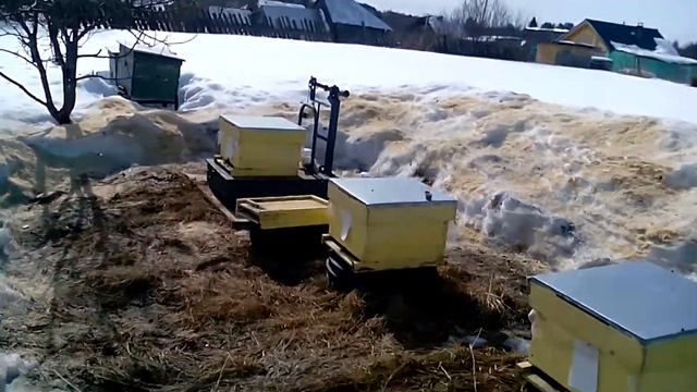 Выставка пчел и облет, 3 апреля 2018 смотреть онлайн