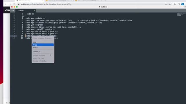 AWS DEVOPS TRICKS|SETUP,CONFIGURE JENKINS FROM AWS EC2 & LOCAL SYSTEM USING DOCKER смотреть онлайн