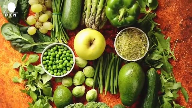 DXN MOROCCO смотреть онлайн
