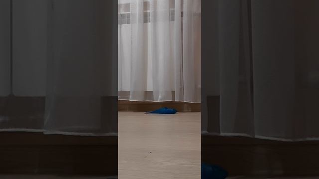 2 часть челенджа у кого будет больше всего очков