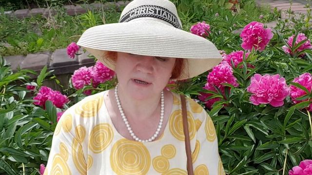 Несвоевременность смотреть онлайн