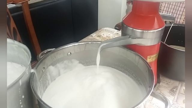 Молоко коровы ДЖЕРСИ ?Сепарирую молоко? БЕЛОЧКИ?️ смотреть онлайн