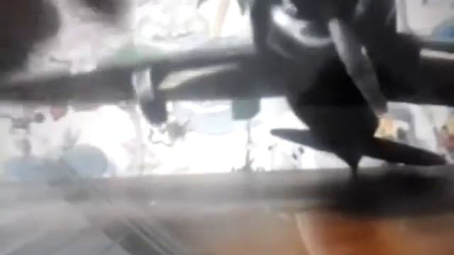 Журналы юный моделист смотреть онлайн