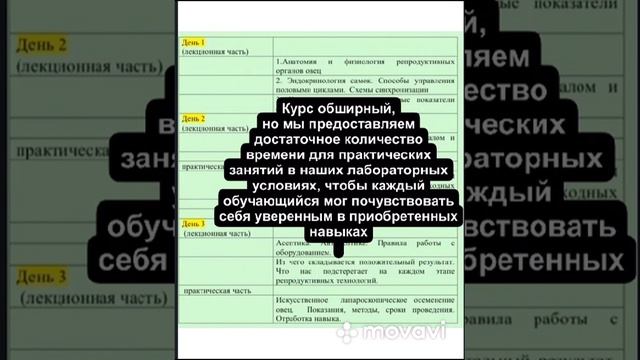 Курс по обучению лапароскопического осименения овец. #георгиевскийдорпер #дорпер #осеменение смотреть онлайн