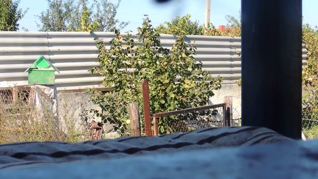 Как собирать пчелосемьи в зиму/многокорпусные ульи