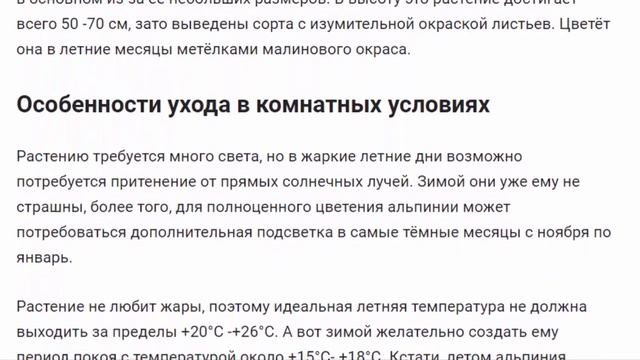 Альпиния (лат. Alpinia) — род травянистых растений семейства Имбирные Zingiberaceae смотреть онлайн