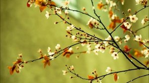 Всё цветёт живёт благоухает