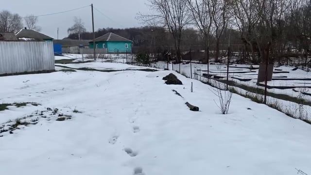 ПОСМОТРЕЛА МОДНЫЙ СЕРИАЛ, ЧТО У НАС НА ОБЕД И УЖИН, ОТКРЫЛА ПАРНИК, А ТАМ… /ЖИЗНЬ НА ХУТОРЕ ЗИМОЙ