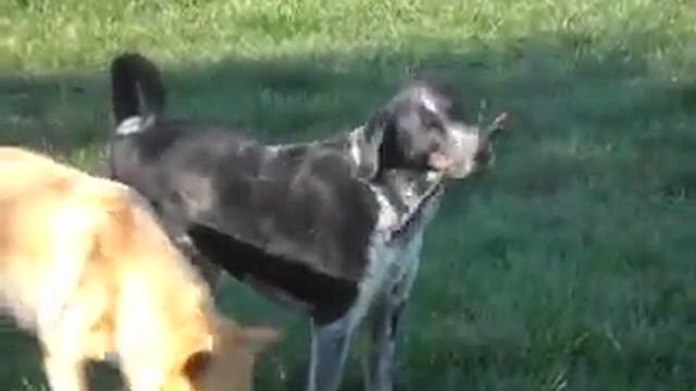 MALICORNE SPA CHATEAU D OLONNE смотреть онлайн