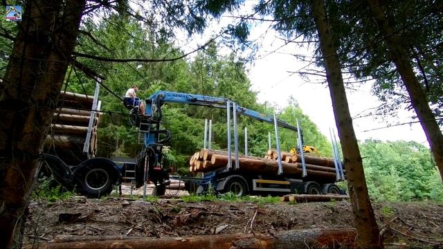 Изучаем транспорт. Логика для самых маленьких 2 смотреть онлайн