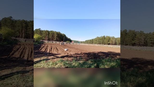 самодельная картофелесажалка. смотреть онлайн