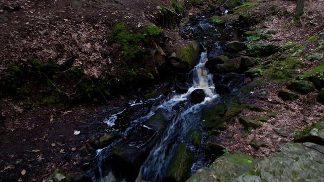 Позади смотреть онлайн