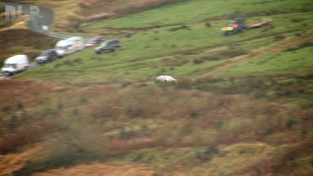 WRC GB 2009 - Petter Solberg [HD] смотреть онлайн