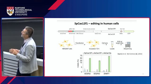 Professor Virginijus Siksnys: A Treasure Trove Of DNA Scissors: CRISPR-Cas And Beyond