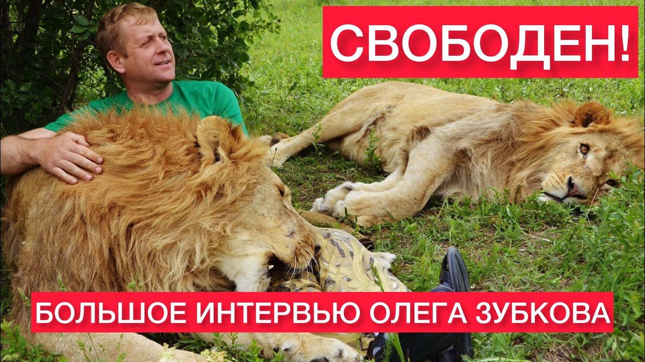 Олег Зубков СОЗДАТЕЛЬ ПАРКА ТАЙГАН В ПРЯМОМ ЭФИРЕ смотреть онлайн