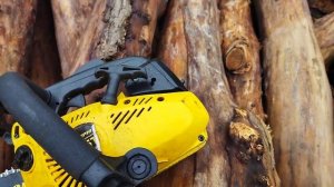 Champion 125т. Первый ремонт -оказалось сломано всë. Что менять через два года.