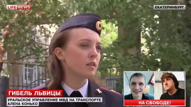 Погибшая в купе поезда львица задохнулась в коробке смотреть онлайн