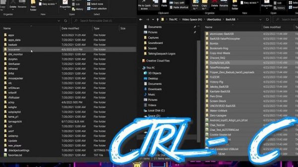 The ULTIMATE Beginners Guide to Flipper Zero!! Get ALL the Files & Apps and Install Custom Firmware