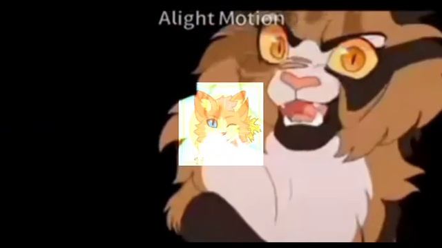Клип-видео на 2000 подпичиков песня "Горит огонь во мне" #котывоители#клип#горитогоньвомне#том?? смотреть онлайн