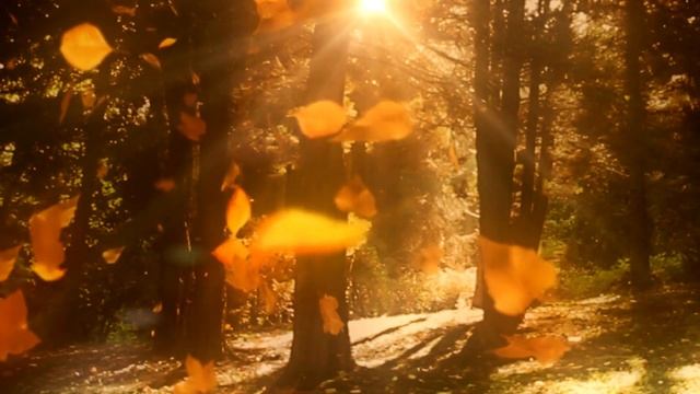 Episode 10: Living With Change and Acceptance #podcast #change #successmindset #confidence #healin смотреть онлайн
