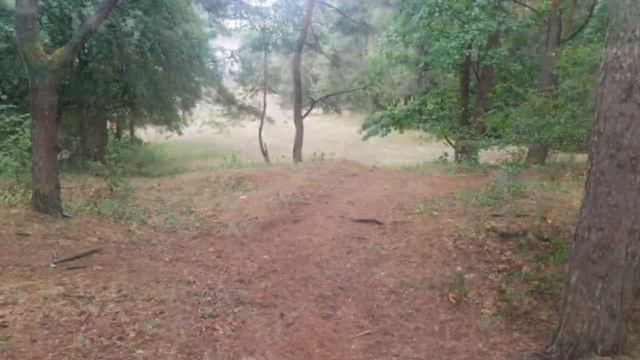 Мой Вильнюс смотреть онлайн