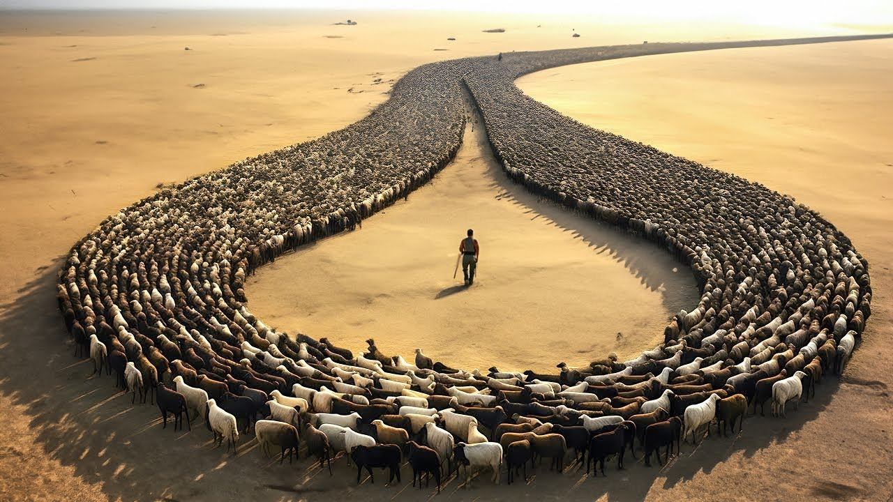 Случаи в Природе Один на Миллион смотреть онлайн