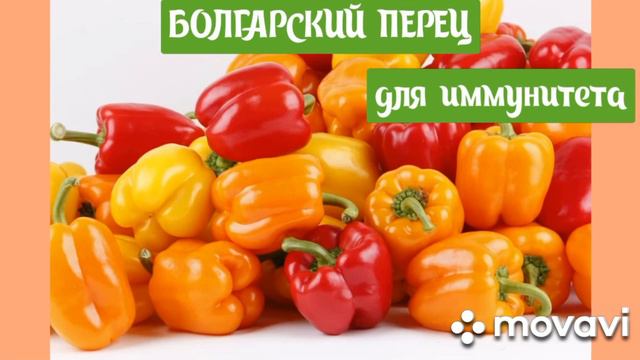 Самые ПОЛЕЗНЫЕ овощи осени 2020🍅🍆🥕🥦🥜/Ешьте и будьте ЗДОРОВЫ!!! 😄 смотреть онлайн