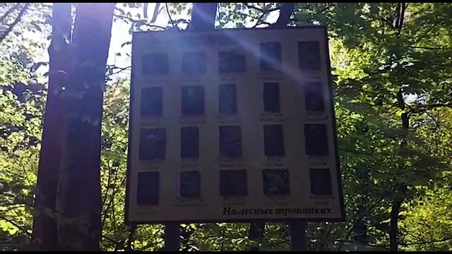 Покатушки на электро-самокате :-) GreenCamel GOLT 500 смотреть онлайн