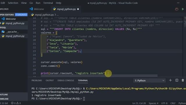 MySQL con Python - V4 - Cómo Insetar Datos en MySQL con Python смотреть онлайн