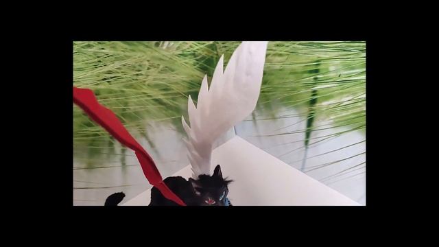 Warrior cats, black cat, warrior cat toy, Scourge cat, Коты воители, ,игрушка кота воителя, кот Бич смотреть онлайн