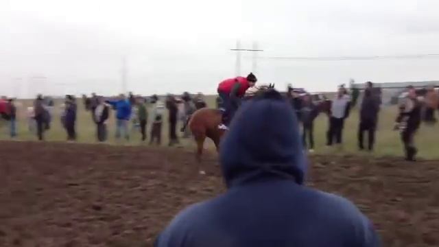 баксан скачки смотреть онлайн