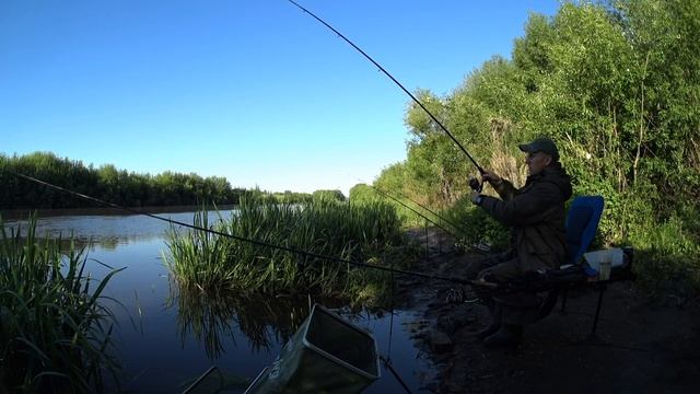 Ловля КАРАСЯ в июне. Фидерная рыбалка на реке. смотреть онлайн