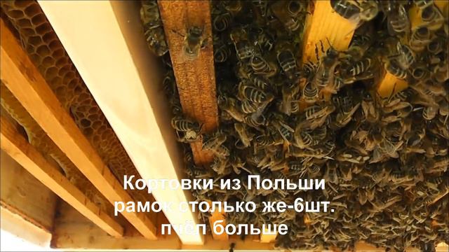 семьи через месяц после облёта смотреть онлайн
