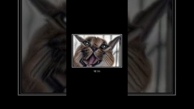 ООО ГОРОХОВЫЙ СУПЧИК!