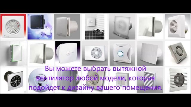 Как избавиться от плесени в ванной смотреть онлайн