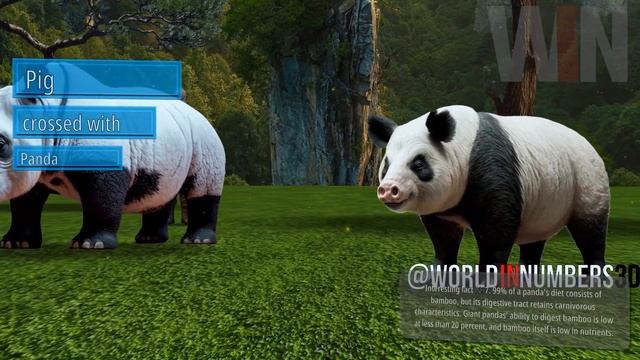 PANDA and ANIMALS Hybrids | Giraffe, Whale, Tiger смотреть онлайн