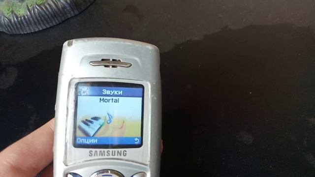 Какие мелодии и картинки скачал на своем Samsung C110