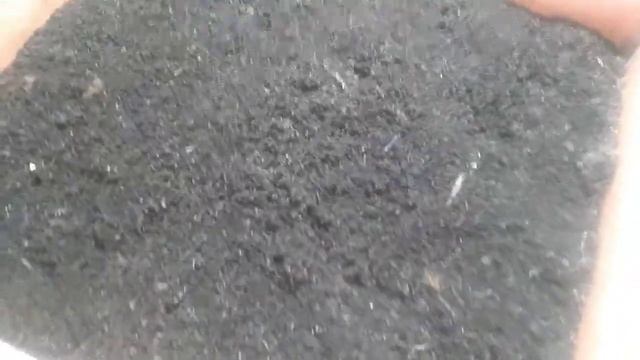 Как избавиться от мошек. (разведение червя) смотреть онлайн