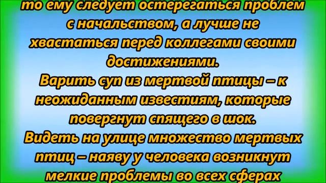 К чему снится мертвая птица смотреть онлайн