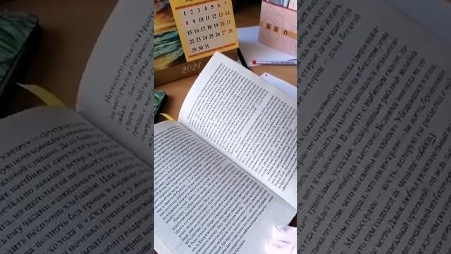 Ирвинг Стоун Моряк в седле смотреть онлайн