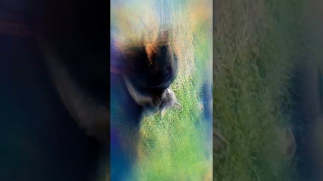 12 октября 2017 г. смотреть онлайн