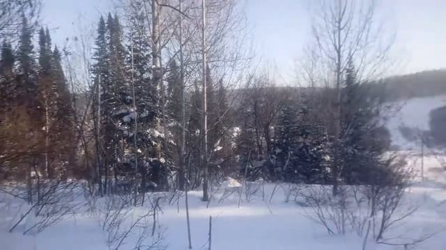 500 тунгус прогулка смотреть онлайн