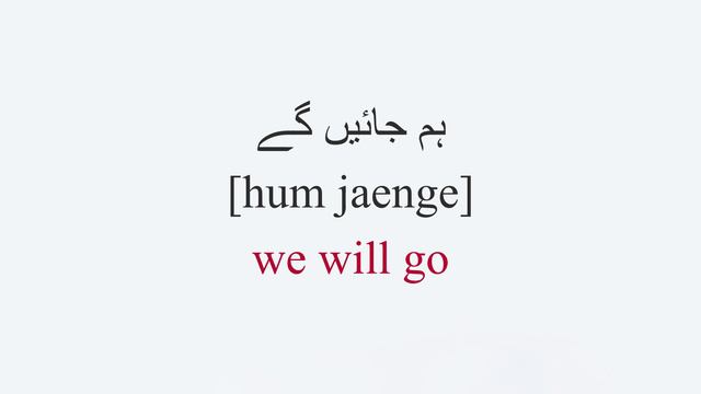 Learn the Future Tense in Urdu/Hindi - BEGINNER LESSON смотреть онлайн