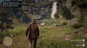 Где найти Андалузскую лошадь 🐎 в Red Dead Redemption 2 / Андалузская лошадь 🐎 / RDR 2 / Новая 🐎