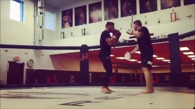 Cub Swanson training for Doo Ho Choi 'Korean Superboy' fight at UFC 206 смотреть онлайн