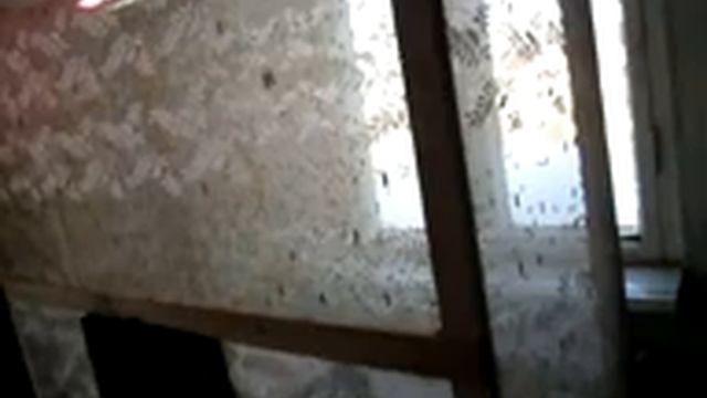 БГВ 5 Чёрная Львинка клетка смотреть онлайн