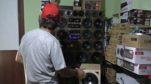 Dynamic State PM-200.3 PRO Series мидвуфер 8, распаковка, обзор, прослушивание в зя и фи