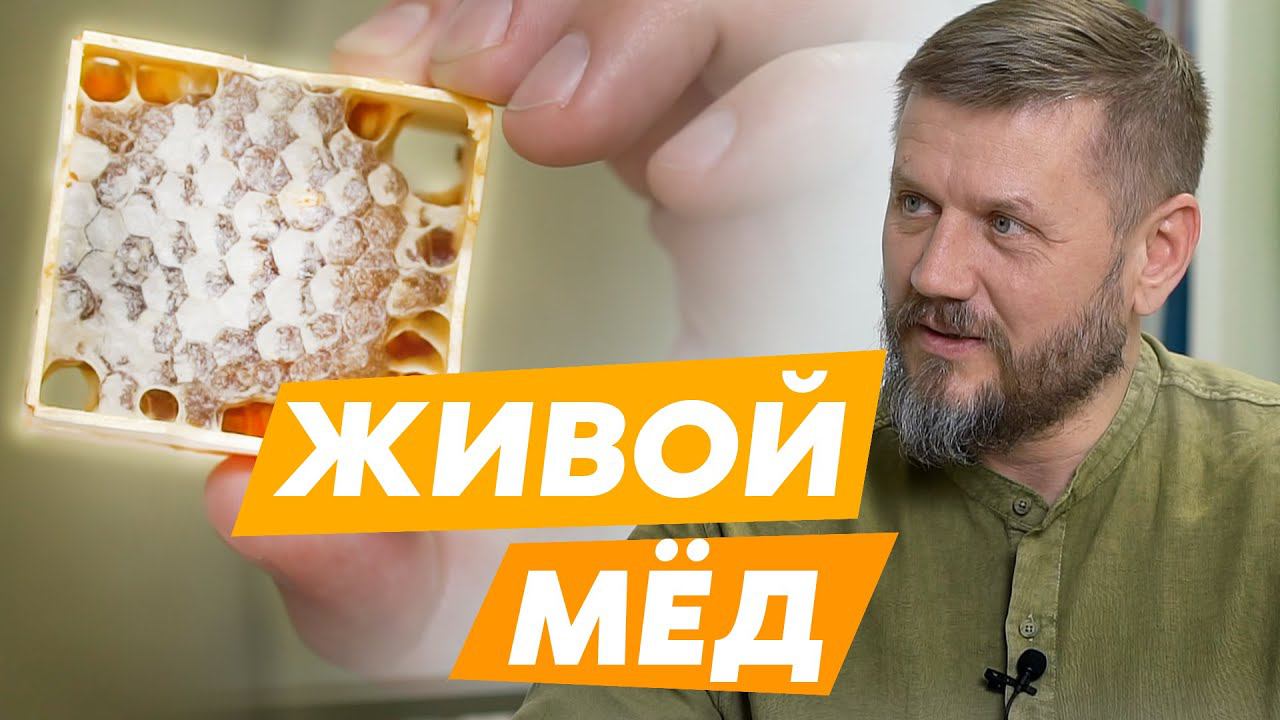 Живой мед, полезные и лечебные травы, чай смотреть онлайн