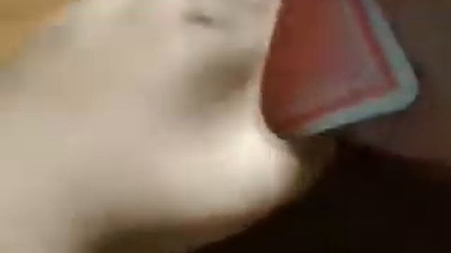 Фокус с резинкой + обучение и фокус с картами смотреть онлайн